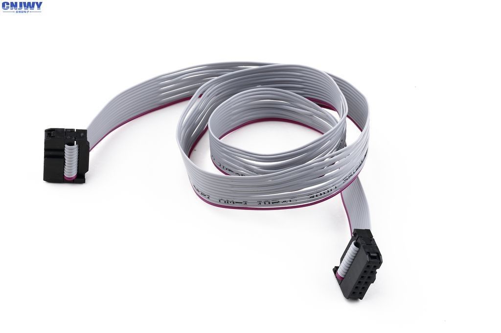 Duurzame bandkabelassemblage met PVC-isolatie en met tin gecoate koperen geleiders voor langdurige prestaties